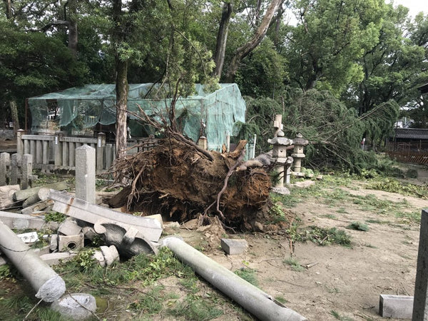 台風21号と過ごしたBirthday・・・