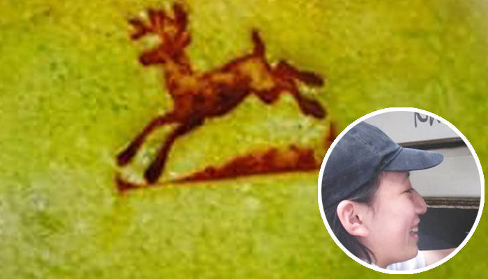 Boulangerie Riche　橋脇 様