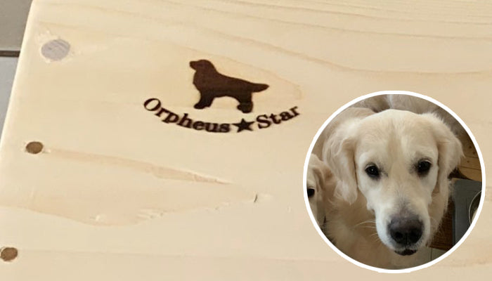 オルフェウス・スター犬舎 様