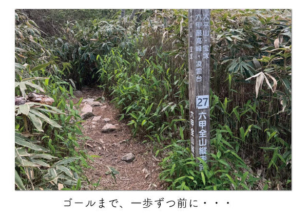 感動のゴール！？六甲山縦走（後半戦）